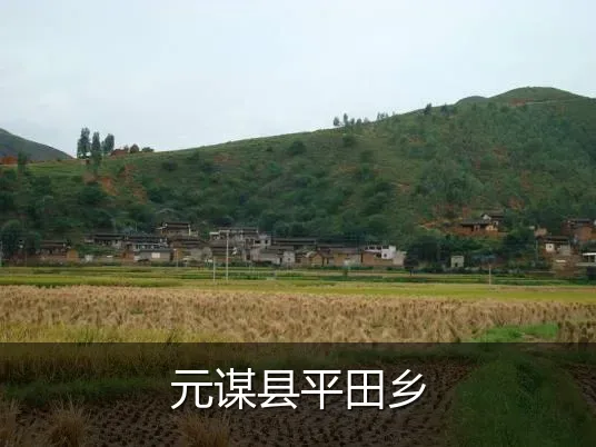 元谋县平田乡